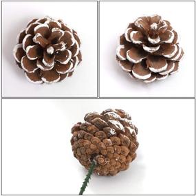 img 2 attached to 🎄 Cooraby Natural Christmas Holiday Decoration