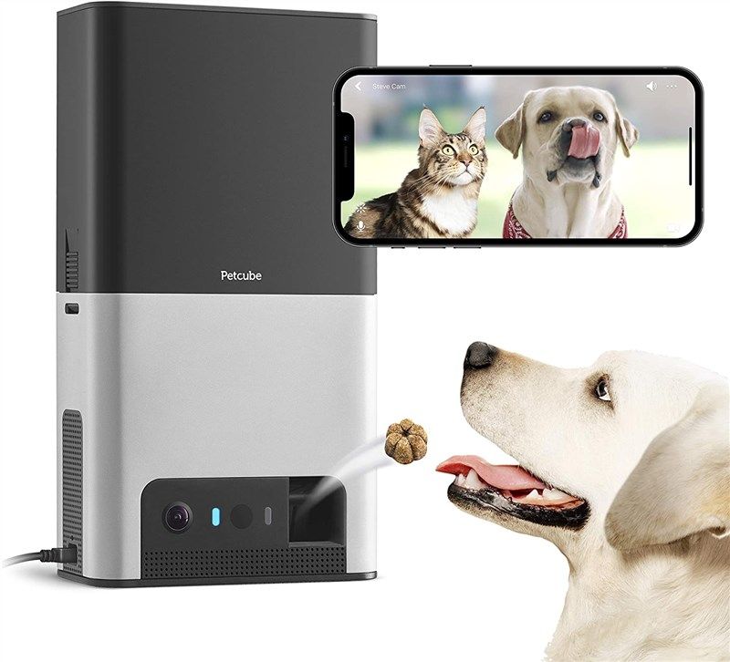 petcube camera dispenser full room monitor 로고