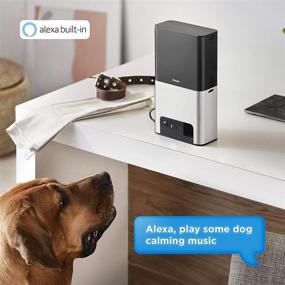 img 2 attached to 🐾 [2020 Update] Petcube Bites 2 Wi-Fi Pet Camera: Treat Dispenser & Alexa Built-in. For Dogs and Cats- 1080p HD Video, 160° Full-Room View, 2-Way Audio, Sound/Motion Alerts, Night Vision, Pet Monitor