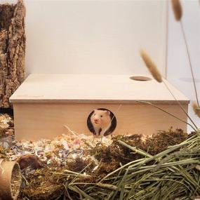 img 3 attached to 🐹 Niteangel Multi-Chamber Hamster House Maze: Multi-Room Hideouts & Tunnel Exploring Toys for Hamsters, Gerbils, Mice, and Lemmings – Enhanced SEO
