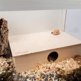 img 2 attached to 🐹 Niteangel Multi-Chamber Hamster House Maze: Multi-Room Hideouts & Tunnel Exploring Toys for Hamsters, Gerbils, Mice, and Lemmings – Enhanced SEO