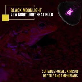 img 1 attached to 🌙 OMAYKEY 75W 2-Pack Infrared Moonlight Heat Lamps with Black Glass Cover for Reptile Amphibian and Other Animal Heating Needs