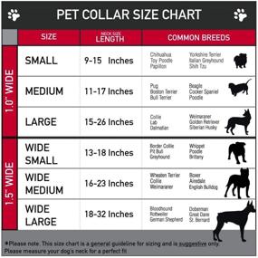 img 2 attached to 🔒 Buckle-Down Checker Black/Baby Pink Seatbelt Buckle Dog Collar: Secure & Stylish Pet Accessory
