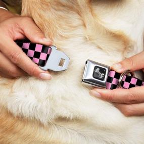 img 3 attached to 🔒 Buckle-Down Checker Black/Baby Pink Seatbelt Buckle Dog Collar: Secure & Stylish Pet Accessory