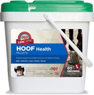 🐴 enhance hoof health with formula 707 hoof health equine supplement логотип