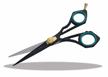 cutting scissors shears barber hairdresser logo
