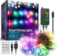 🎶 app controlled music sync outdoor color changing waterproof string lights with remote for christmas, works with amazon echo, indoor outdoor decor (16.4 ft) логотип