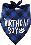 jpb день рождения собаки boy bandana: стильный и веселый аксессуар для особенного дня вашего питомца! логотип