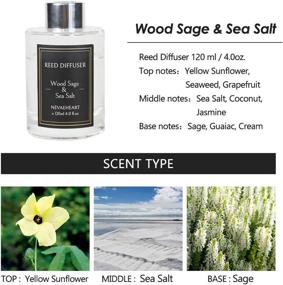 img 2 attached to 🏠 Nevaeheart Reed Diffuser Set: Wood Sage & Sea Salt Fragrance for Homes - 4.0 oz (120ml) Reed Diffuser with Oil and Sticks