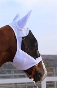 img 1 attached to 🐴 Ultimate UV Protection: TGW RIDING Horse Mask with Breathable Mesh for All-Round UV and Eye Protection