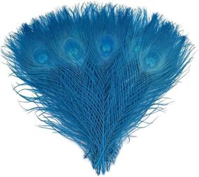 img 2 attached to 🦚 Pack of 20 Turquoise Peacock Tail Eye Feathers, 10-12 Inches, Bleached and Dyed, Ideal for DIY Crafts, Hat and Costume Decoration