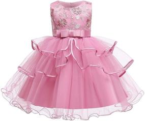 img 4 attached to 👑 Exquisite Nileafes Princess Dresses for Pageant-Winning Girls: Elegant Embroidery and High-Quality Clothing