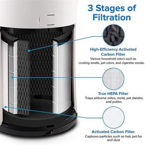 img 1 attached to 🌬️ LEVOIT LV-H133 Air Purifier Replacement Filter Set - H13 True HEPA and Activated Carbon Filters, LV-H133-RF, White