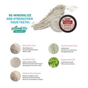 img 2 attached to 🌿 Primal Life Organics Dirty Mouth Tooth Powder: Natural Teeth Whitening with Bentonite Clay & Essential Oils – Peppermint Flavor, 60 Uses (.25 oz)