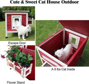 img 2 attached to 🏡 Rockever Outdoor Cat Shelter: Rainproof Outside Kitty House with Escape Door - Protecting Your Feline Friend