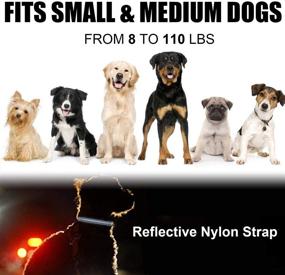 img 1 attached to 🐾 Rechargeable Bark Collar for Dogs - Humane, No Shock Training Collar with Adjustable Sensitivity, Beep Vibration - No Remote Required - Suitable for Small, Medium, Large Dog Breeds