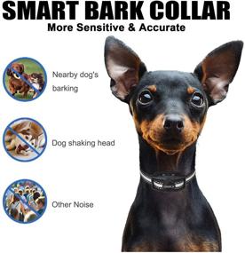 img 3 attached to 🐾 Rechargeable Bark Collar for Dogs - Humane, No Shock Training Collar with Adjustable Sensitivity, Beep Vibration - No Remote Required - Suitable for Small, Medium, Large Dog Breeds