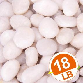 img 3 attached to 🪨 18 Pounds White Decorative Pebbles: River Rock Aquarium Gravel, Garden & Ornamental Stones, Natural Polished Gravel, White Decorative Chips, Landscaping Pebbles (White)