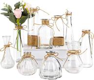 set of 10 nilos small bud glass vases - mini clear vintage glass flower vase with rope design and assorted unique shapes for home decoration logo