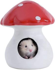 img 4 attached to MouseBro Ceramic Hamster Mushroom Hamsters