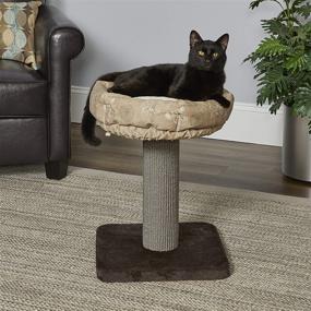 img 3 attached to 🐱 Stylish and Durable MidWest Cat Tree with Removable Bed and Sisal Fabric Scratching Posts for Easy Cleaning - Includes 1-Year Manufacturer's Warranty