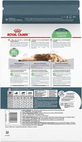 img 3 attached to 🐱 Enhance Digestion with Royal Canin Digestive Care Dry Cat Food