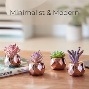 img 1 attached to 🌸 Nordik Set of 4 Rose Gold Desk Plants - Women's Office Decor, Indoor, Living Room, Bedroom, Home and Desk Decor – Pink Faux Succulents in Geometric Ceramic Planters