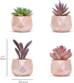 img 3 attached to 🌸 Nordik Set of 4 Rose Gold Desk Plants - Women's Office Decor, Indoor, Living Room, Bedroom, Home and Desk Decor – Pink Faux Succulents in Geometric Ceramic Planters