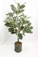 🌴 34-inch faux tropical ficus elastica tree - artificial rubber tree plant for home office decoration (1 pack) логотип