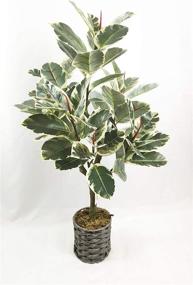 img 4 attached to 🌴 34-inch Faux Tropical Ficus Elastica Tree - Artificial Rubber Tree Plant for Home Office Decoration (1 Pack)