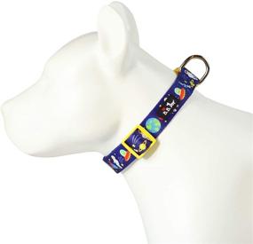 img 1 attached to 🌸 Glam up Your Pup with Bestbuddy Pet Spring Blossom Adjustable Dog Collar BBP-TG1: Durable Nylon, Designer Style, and Comfort!