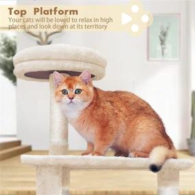 img 1 attached to 🐱 Pina Cat Tree: 51" Multi-Level Cat Tower for Indoor Cats with Hammock & Scratching Posts