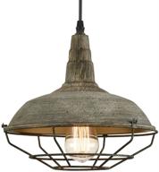 🏚️ rustic charm: vintage metal cage barn ceiling pendant with stained finish mold color - illuminating 1-light fixture логотип