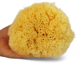 img 2 attached to 🎁 Premium 5pc Spa Gift Set: Real Natural Sea Sponges Multipack - Perfect for Pampering Moms, Brides, Girlfriends, and Teens! Kind on Skin, Ideal for Bathing, Shower, and Facial Cleansing - Comes in a Stylish Bag (5 Pack Standard Packaging)