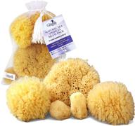 🎁 premium 5pc spa gift set: real natural sea sponges multipack - perfect for pampering moms, brides, girlfriends, and teens! kind on skin, ideal for bathing, shower, and facial cleansing - comes in a stylish bag (5 pack standard packaging) logo