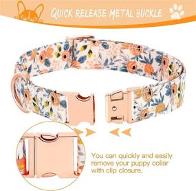 img 2 attached to 🐶 Set of 3 Dog Collars with Bow Tie and Flower, Fashionable Girl Dog Collars for Small, Medium, and Large Dogs, Adjustable Bowties Collars with Floral Patterns and Secure Metal Buckle