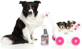 img 2 attached to UrineOFF Find & Treat Kit for Dogs - Stain and Odor Remover with LED Hi-Power Urine Finder