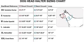 img 1 attached to 🐶 Ultimate Control for Your Canine: Dog Head Collar Halter Red in 6 Sizes