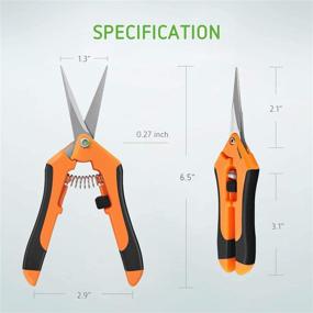 img 2 attached to 🏡 VIVOSUN 6.5 Inch Gardening Hand Pruner: Straight Stainless Steel Blades for Precision Pruning – Orange