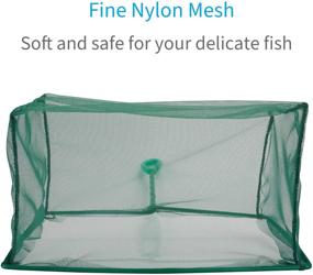 img 2 attached to 🐠 Pawfly 8-Inch Fine Mesh Aquarium Fish Net with 10.5-Inch Plastic Handle - Green