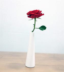 img 2 attached to 🌸 Tall Conic Composite Plastics Flower Vase: Small Bud Decorative Floral Vase for Stylish Home Decor, Centerpieces, and Arranging Bouquets with Connected Tubes (Small Caliber)