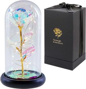 img 3 attached to 🌹 OurWarm Gift for Her: Colorful Artificial Flower Rose Galaxy in Glass Dome with Lamp - Perfect for Birthday, Mother's Day, Valentines, Christmas and Anniversaries!