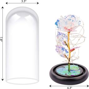 img 2 attached to 🌹 OurWarm Gift for Her: Colorful Artificial Flower Rose Galaxy in Glass Dome with Lamp - Perfect for Birthday, Mother's Day, Valentines, Christmas and Anniversaries!