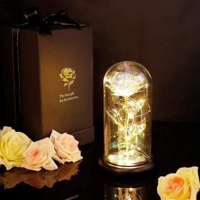 img 4 attached to 🌹 OurWarm Gift for Her: Colorful Artificial Flower Rose Galaxy in Glass Dome with Lamp - Perfect for Birthday, Mother's Day, Valentines, Christmas and Anniversaries!