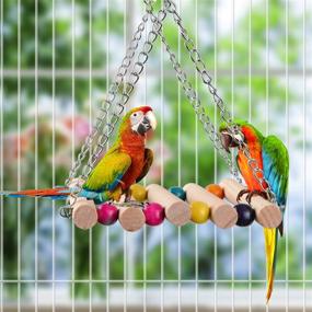 img 3 attached to 🐦 Bird Parrot Toys Swing: A Full Range of Cage Accessories for Parakeets, Cockatiels, Lovebirds, Conures, Budgie, Macaws, Finches, and Small Pets