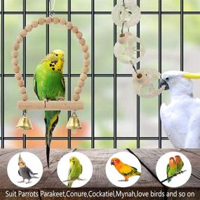 img 2 attached to 🐦 Bird Parrot Toys Swing: A Full Range of Cage Accessories for Parakeets, Cockatiels, Lovebirds, Conures, Budgie, Macaws, Finches, and Small Pets