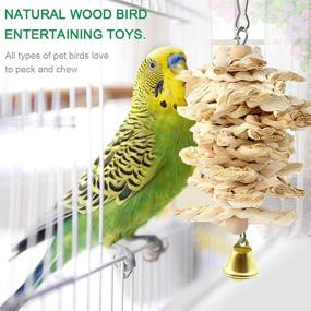 img 1 attached to 🐦 Bird Parrot Toys Swing: A Full Range of Cage Accessories for Parakeets, Cockatiels, Lovebirds, Conures, Budgie, Macaws, Finches, and Small Pets