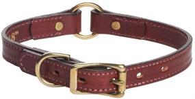 img 1 attached to 🐶 Mendota Leather Hunt Dog Collar - American Made Pet Collar