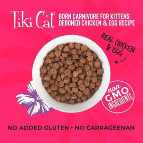 img 1 attached to 🐱 Tiki Cat Born Carnivore Chicken & Egg Kitten Grain-Free Dry Food Gluten-Free, 2.8 lbs.