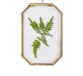 img 4 attached to 🌿 NCYP Gold Octagon Floating Glass Frame for Pressed Plant Specimen, Dried Flowers, DIY Artwork, Photo, Picture Display – 4x6 Inches, Brass Hanging Wall Decor – Frame Only